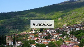 Αμπελάκια Δ. Τεμπών