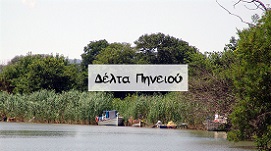Δέλτα Πηνειού