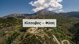 gotempi-top10-kissabos-fusi