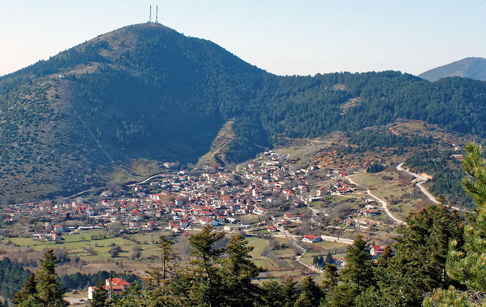 Καλλιπεύκη Δήμος Τεμπών