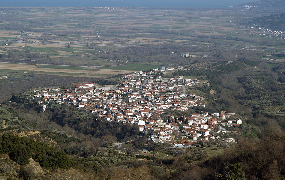 Πυργετός Δ. Τεμπών