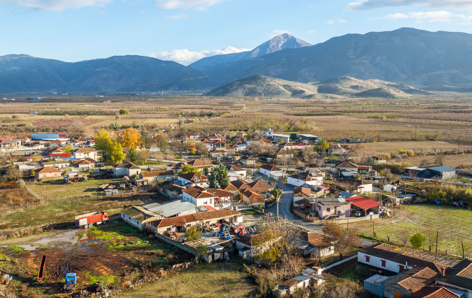 Νέσσων Δ. Τεμπών