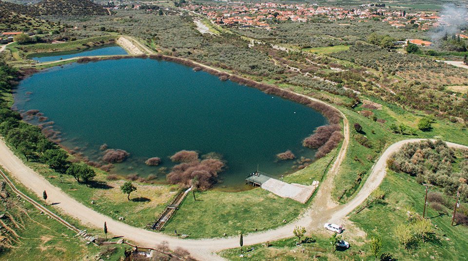 Δήμος Τεμπών