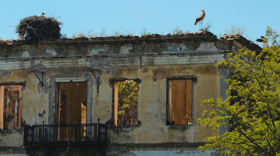 Δήμος Τεμπών