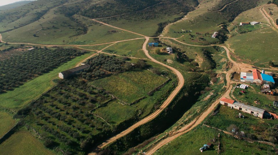 Μακρυχώρι Δ. Τεμπών