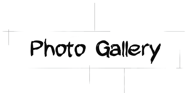 gotempi-gallery-label-en