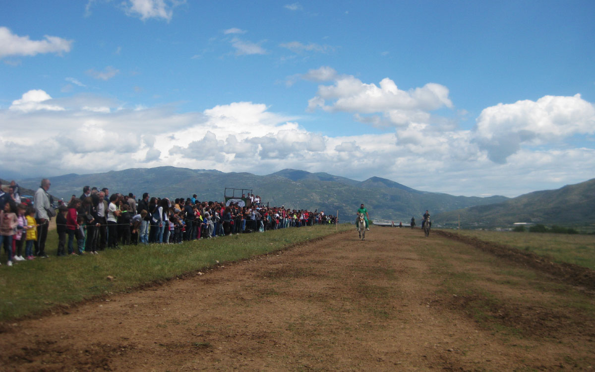 Ιππικοί Αγώνες Δ. Τεμπών