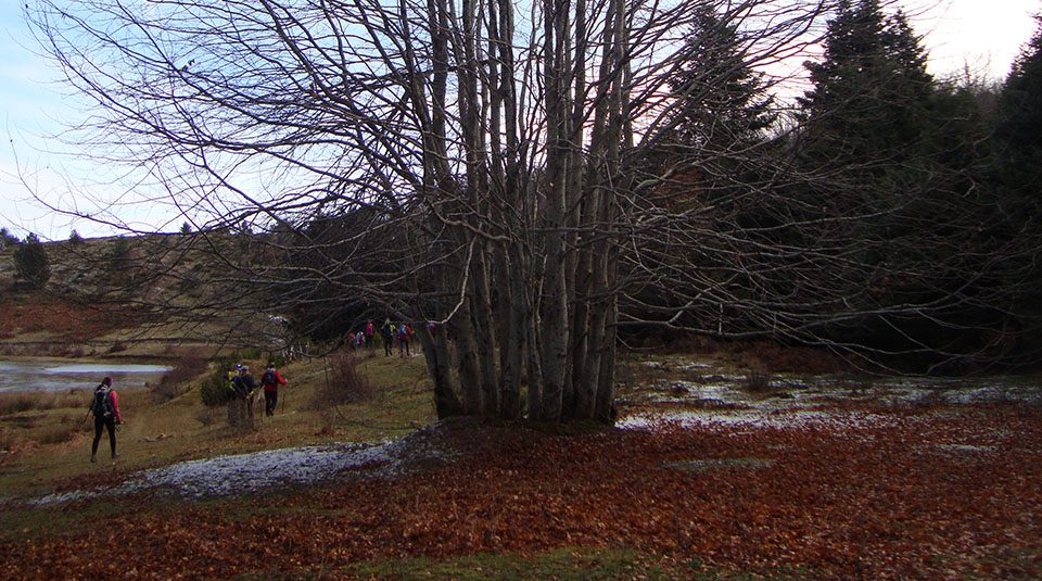 Μονοπάτια Δήμος Τεμπών