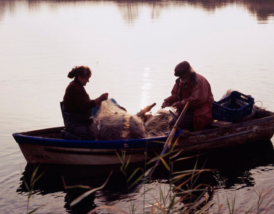 Δέλτα Πηνειού Δ. Τεμπών