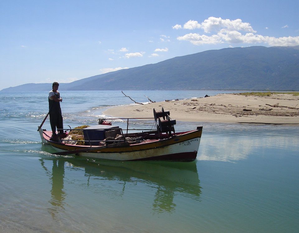 Δέλτα Πηνειού Δ. Τεμπών