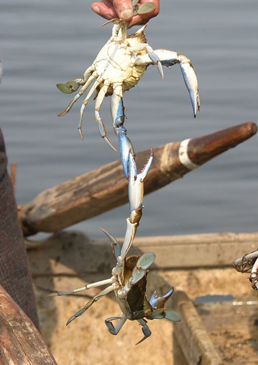 Παραθεριστικός Τουρισμός Δ. Τεμπών