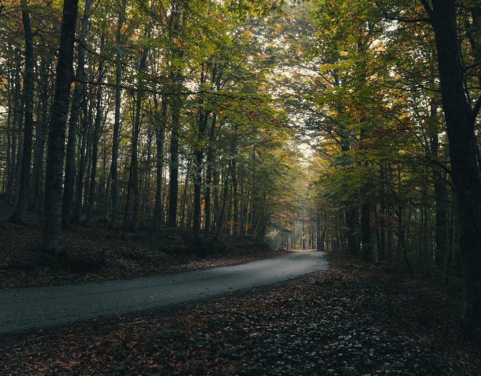 Κίσσαβος Δ. Τεμπών