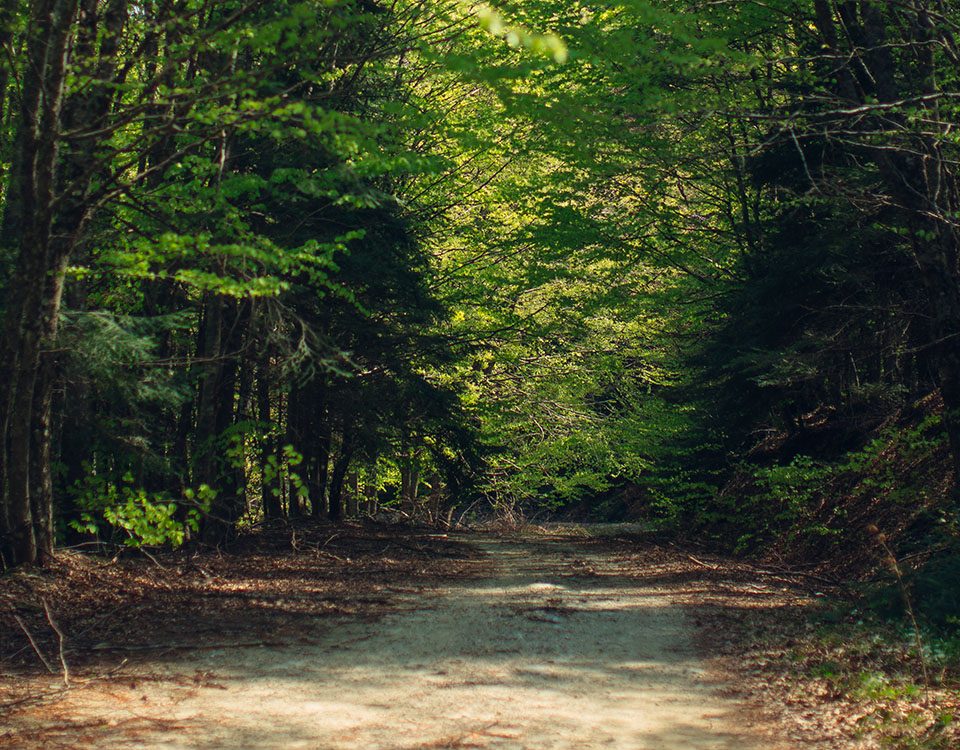 Όλυμπος Δ. Τεμπών