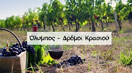 gotempi-dromoi-krasiou-new-banner-el