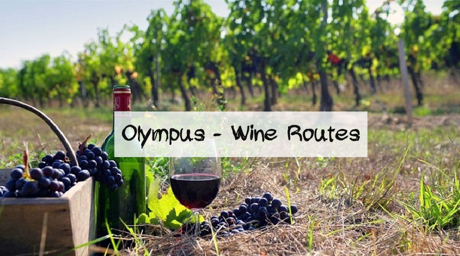 gotempi-dromoi-krasiou-new-banner-en