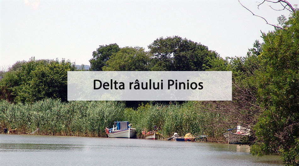 gotempi-home-delta-piniou-rom