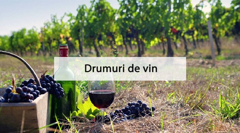 gotempi-home-dromoi-krasiou-rom