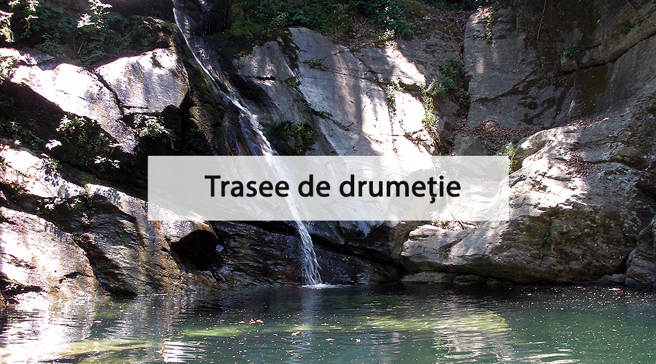 gotempi-home-orivatika-monopataia-rom