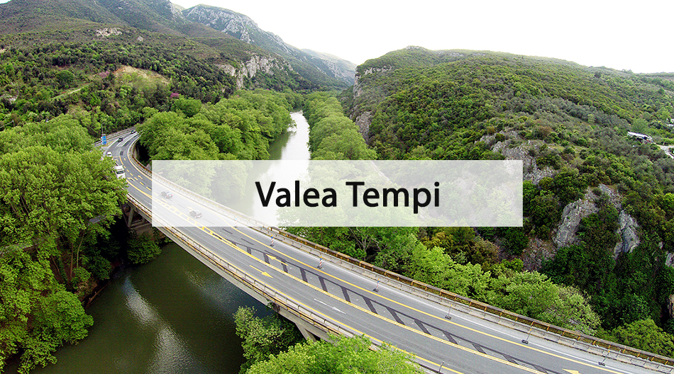 gotempi-home-tempi-rom