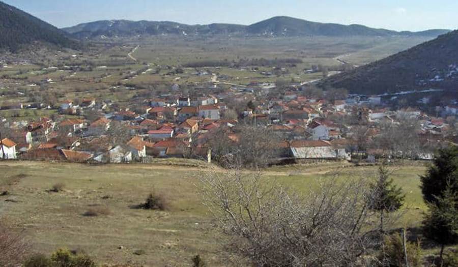 Καλλιπεύκη