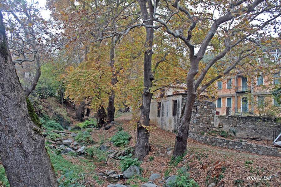 Μεταξοχώρι